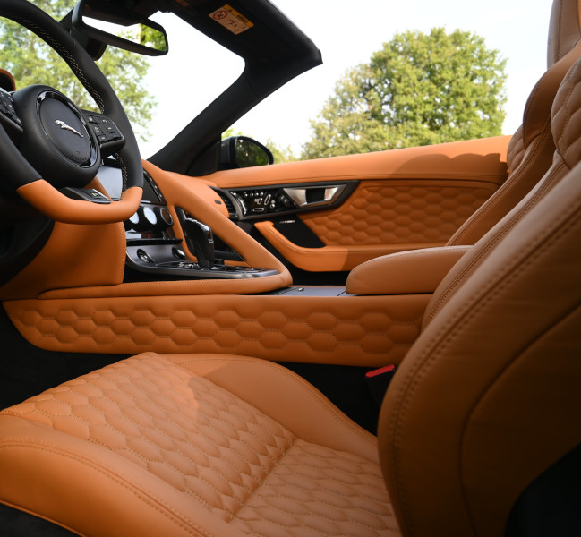 Brown Car Leather