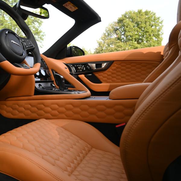 Brown Car Leather